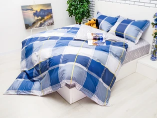 Блая с синим  постель в интернет магазине LaScala.ua Y230-020